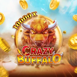 CRAZY BUFFALO