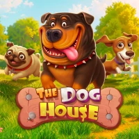 The Dog House